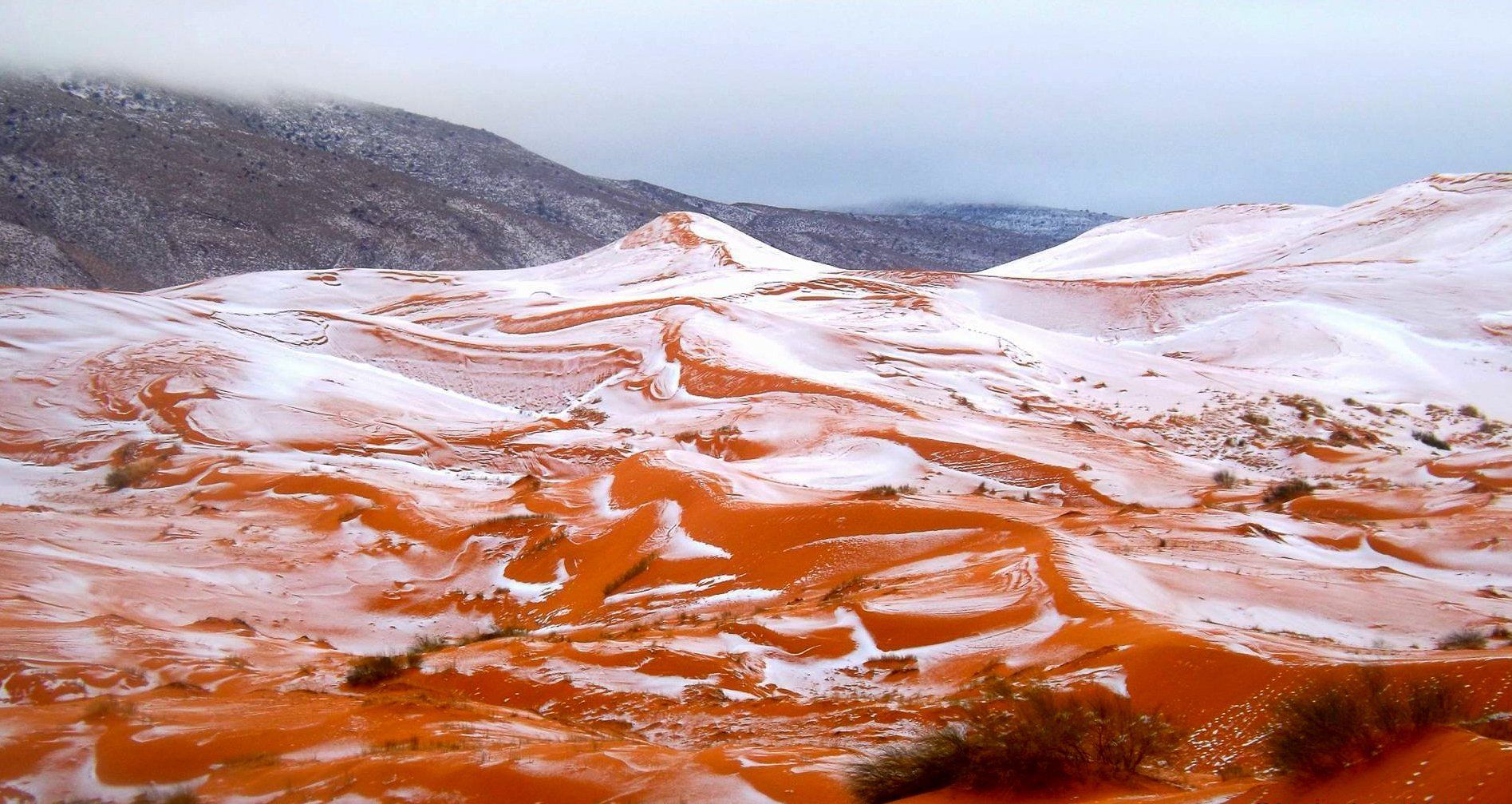 Snow falls in Sahara desert for first time in 37 years
